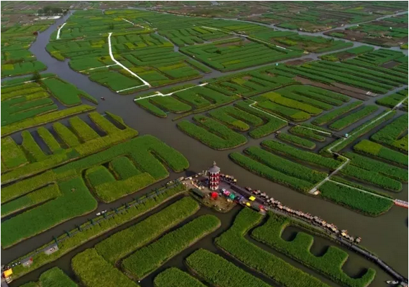 “美丽中国”怎么建?习近平明确了时间表和路线图4.png